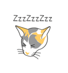Maew Maew Thai Cat（個別スタンプ：14）