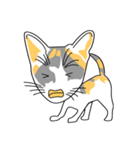Maew Maew Thai Cat（個別スタンプ：15）