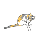 Maew Maew Thai Cat（個別スタンプ：18）