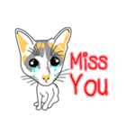 Maew Maew Thai Cat（個別スタンプ：20）