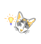 Maew Maew Thai Cat（個別スタンプ：24）