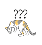 Maew Maew Thai Cat（個別スタンプ：26）