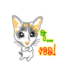 Maew Maew Thai Cat（個別スタンプ：27）