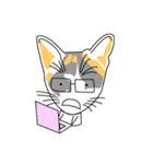 Maew Maew Thai Cat（個別スタンプ：28）