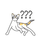 Maew Maew Thai Cat（個別スタンプ：29）
