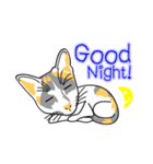 Maew Maew Thai Cat（個別スタンプ：31）