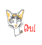 Maew Maew Thai Cat（個別スタンプ：32）