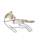 Maew Maew Thai Cat（個別スタンプ：34）