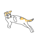 Maew Maew Thai Cat（個別スタンプ：36）