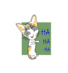 Maew Maew Thai Cat（個別スタンプ：38）