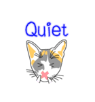 Maew Maew Thai Cat（個別スタンプ：39）