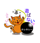 猫BOM（個別スタンプ：13）