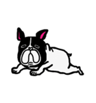 吉田犬太のリアル（個別スタンプ：4）