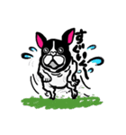 吉田犬太のリアル（個別スタンプ：16）