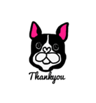 吉田犬太のリアル（個別スタンプ：37）