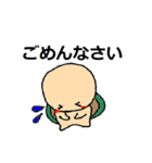 かめのすけ（個別スタンプ：9）