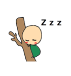 かめのすけ（個別スタンプ：16）