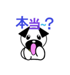 パグ 犬のスタンプ（個別スタンプ：13）