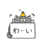 メモねこ（個別スタンプ：13）