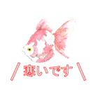 金魚（個別スタンプ：6）
