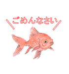 金魚（個別スタンプ：18）