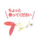 金魚（個別スタンプ：28）