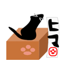 黒子猫ジータ（個別スタンプ：21）