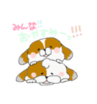 こういうタイプの犬スタンプ（個別スタンプ：40）