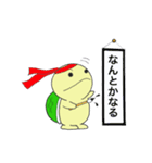 かめきちくん（個別スタンプ：4）