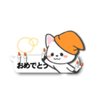 ふきだし帽子ねこ（個別スタンプ：8）