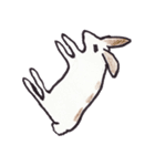 うさぎのぺろちゃん（個別スタンプ：3）