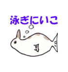 うさぎのぺろちゃん（個別スタンプ：12）