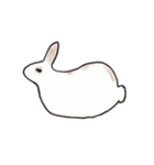 うさぎのぺろちゃん（個別スタンプ：14）
