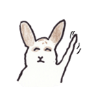 うさぎのぺろちゃん（個別スタンプ：16）