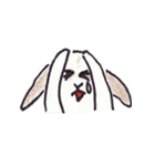 うさぎのぺろちゃん（個別スタンプ：19）