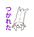 うさぎのぺろちゃん（個別スタンプ：36）