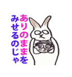 うさぎのぺろちゃん（個別スタンプ：39）