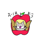 ねことりんご（個別スタンプ：1）