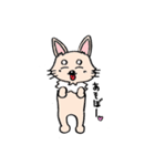 チワワのきなたん（個別スタンプ：1）