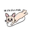 チワワのきなたん（個別スタンプ：6）