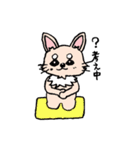 チワワのきなたん（個別スタンプ：12）