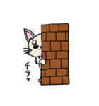チワワのきなたん（個別スタンプ：15）