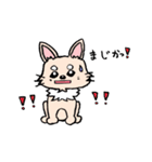 チワワのきなたん（個別スタンプ：18）