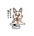 チワワのきなたん（個別スタンプ：22）