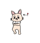 チワワのきなたん（個別スタンプ：23）