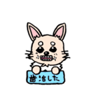 チワワのきなたん（個別スタンプ：24）