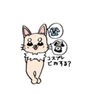 チワワのきなたん（個別スタンプ：31）
