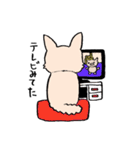 チワワのきなたん（個別スタンプ：38）