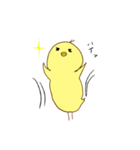 よく見かけるひよこちゃん（個別スタンプ：3）