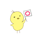 よく見かけるひよこちゃん（個別スタンプ：7）